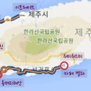 위미위드미 게스트하우스 이미지