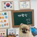 멍멍컷 이미지