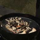 애견가족 | 강원도 홍천 애견펜션 엘페로 애견리조트 가족여행 솔직후기