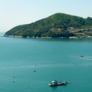 서포비치 이미지