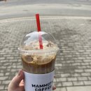 매머드익스프레스시흥장곡점