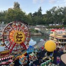 펫코랜드 이미지