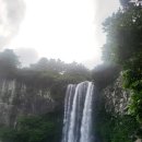 선린내과의원 이미지