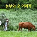 소 이야기 이미지