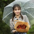 나무야 나무야 이미지