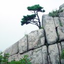 위하다 이미지