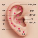 올가드림뷰티전주대점