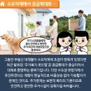 로드맵공인중개사사무소 이미지