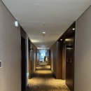 (주)호텔롯데 롯데시티호텔울산 | 울산 호텔 추천 롯데시티호텔 울산 삼산 고층뷰 숙박 후기