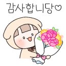 모카트리 이미지