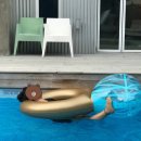 리베볼(liebevoll) 이미지