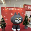 모찌펫살롱 | 2024 31st 궁디팡팡 캣페스타 Christmas 세텍 마지막날 다녀온 후기