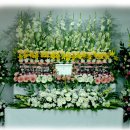 신내동-016 이미지