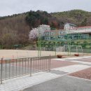 하호분교 이미지