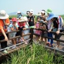 갯골안3 이미지