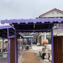 토끼사냥 | 동해 달방 카페 후기｜토끼 있는 마당 넓은 동해카페