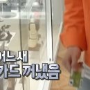 대화농협수리센터 | 고양 원당 화훼농협 케이플라워 &#34;갑조네&#34; 후기 (식물 4종 9,900원🪴)