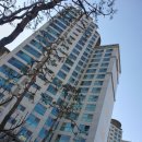 능동로L 이미지