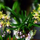 이수인헤어