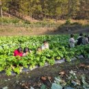 삼산초등학교 병설유치원 이미지