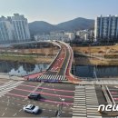 삼어로 이미지