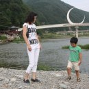 조양강 민박 Daum카페