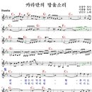 (주)캬라반 Daum카페