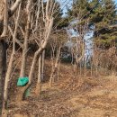 자산동242 이미지