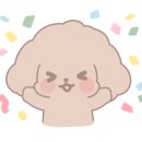 HMC펫케어 이미지