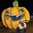 비에이치씨(BHC)소태점 | 축제주