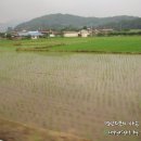 성곡리농로 이미지