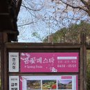 가평 서울근교 가볼만한곳 아침고요수목원 봄나들이 데이트코스 추천 봄꽃페스타 주차 꿀팁 솔직 후기