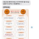 맘스베딩 | 대전청주세종 헬레나맘케어 출장 산전•산후마사지 내돈내산 솔직후기
