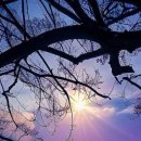 백은천냥시대 이미지