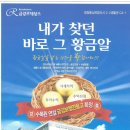 금강르네상스 이미지