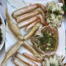 세룡이네 | 속초맛집 대포항 대게 횟집 추천 세룡이네 내돈내산
