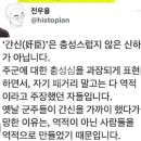 역사학자 전우용이 말하는 간신이란 이미지