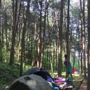 서리산농장 이미지