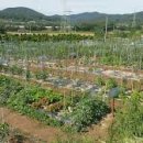 경자농장 이미지