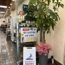 안덕면 감산리 346-1 이미지