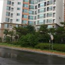 상평동-1 이미지