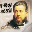 포도나무365 Daum카페