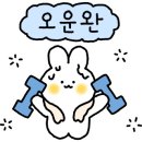 샐러드미