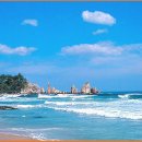 Best of the Best 이미지