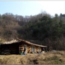 아원농장 이미지