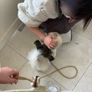 광주 반려동물용품 위글리펫 용봉점 | 광주 24시 반려동물 용품점 위글리펫