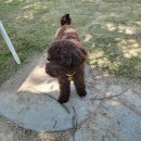 청학동물병원 | 5월(24.04.29~24.06.02)