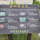 대전죽동초등학교 이미지