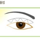이상호성형외과의원 네이버블로그