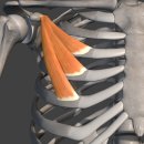 금빛 태권도장 이미지